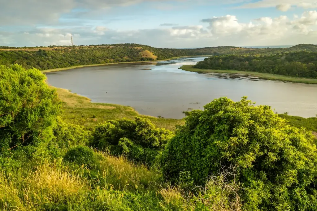 Aerial View of Tower Hill Wildlife Reserve 