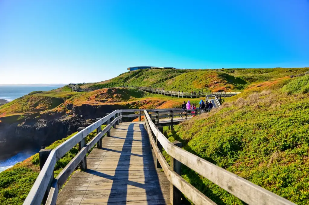 Nobbies Centre in Phillip Island