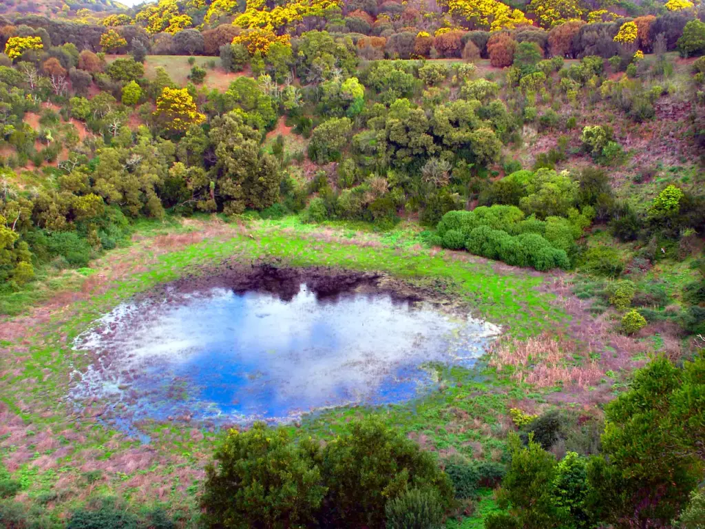 Tower Hill State Game Reserve in Victoria 