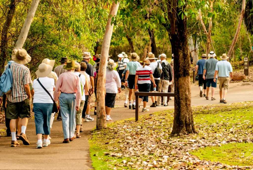 Group Tour Through The Bush